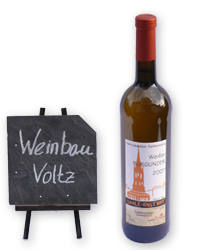 Weinsortiment Weinbau Voltz